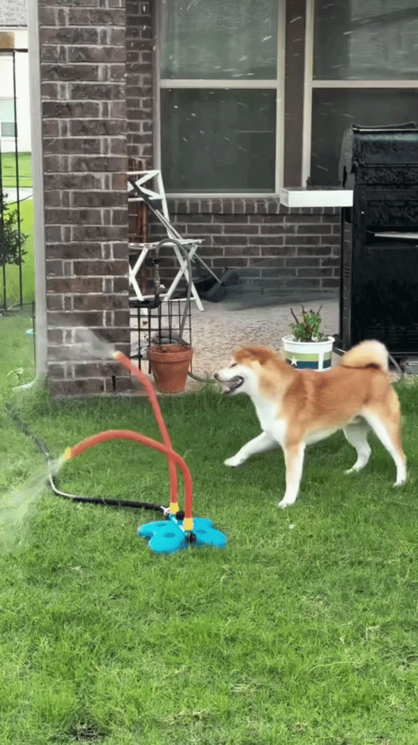 Customer submitted content 2